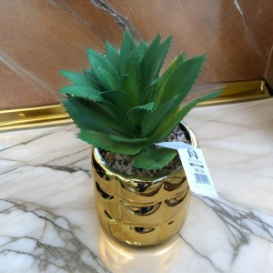 قوار ورد صبار16 سم بورسلان بابلز مدور ذهبيM21-29